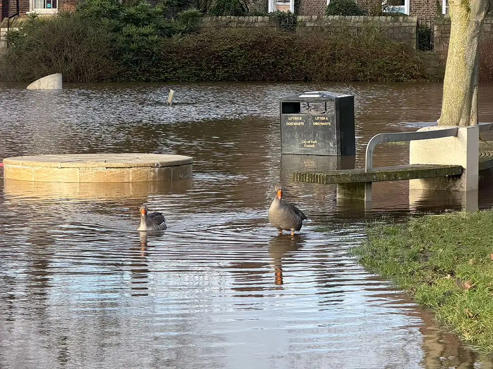 Three flood warnings in place after A64 reopens following flood closure