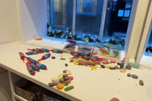 York sweet shop raid: Two women arrested