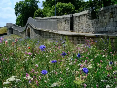 Person injured after falling from York’s city walls
