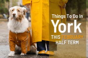Things to do in York this February half term 2026