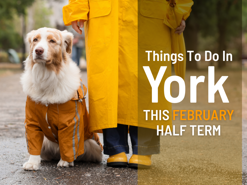 Things to do in York this February half term 2026