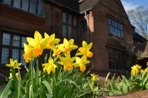 York’s hidden garden to reopen for spring – with special offer for residents
