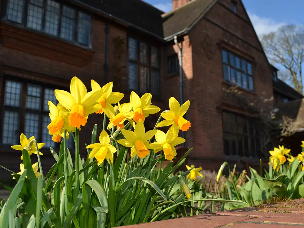 York’s hidden garden to reopen for spring – with special offer for residents