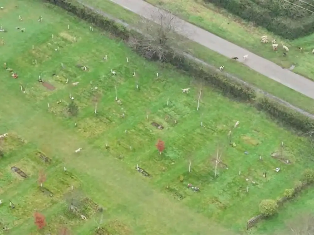 Watch: Pack of hounds ‘run amok through North Yorkshire graveyard’