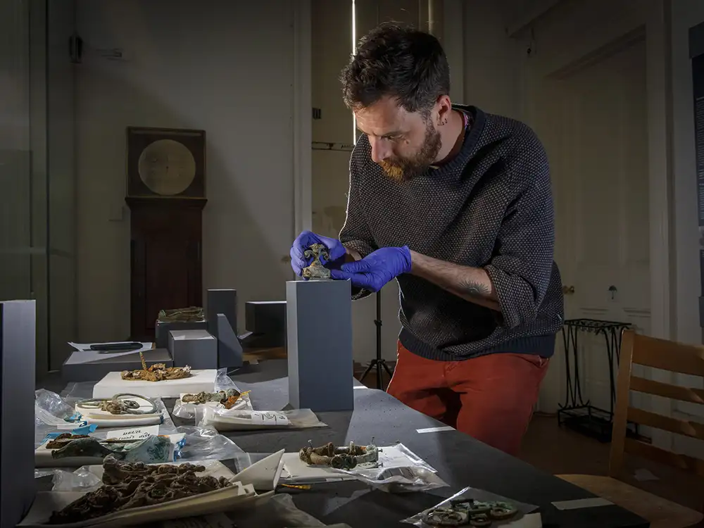York museum to share ‘once in a lifetime’ discovery