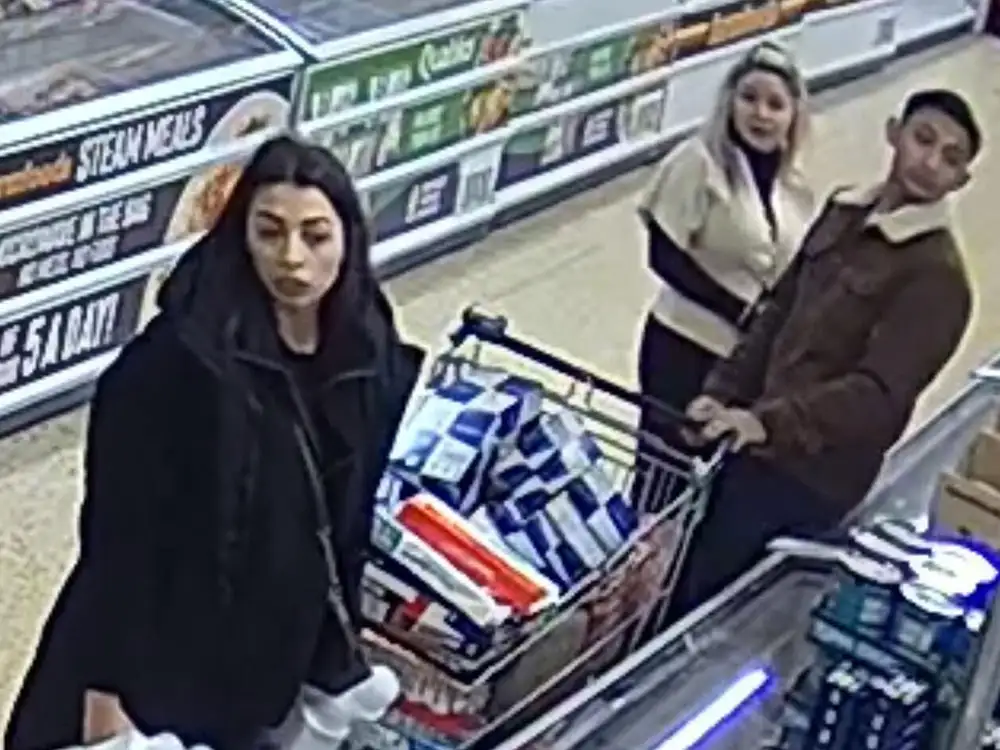 Three people sought by police after attempted theft at York store