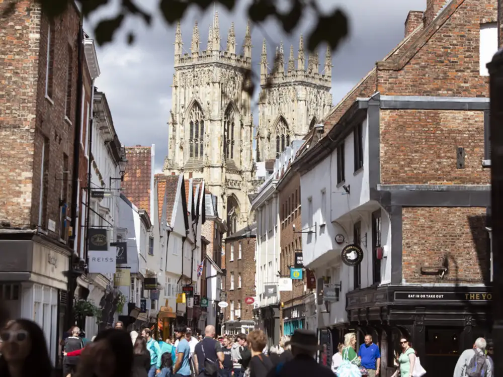 A new online data hub that aims to help York businesses has launched