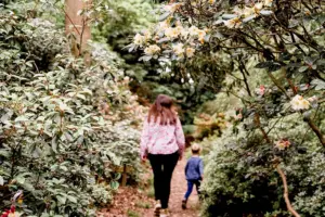 Floral display in York wood ‘must be seen to be believed’