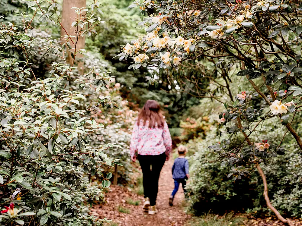 Floral display in York wood ‘must be seen to be believed’
