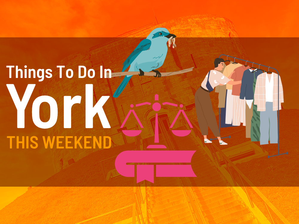 Things to do in York this weekend