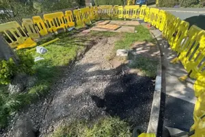‘Incredibly frustrating’ – Gas works put York trees at risk