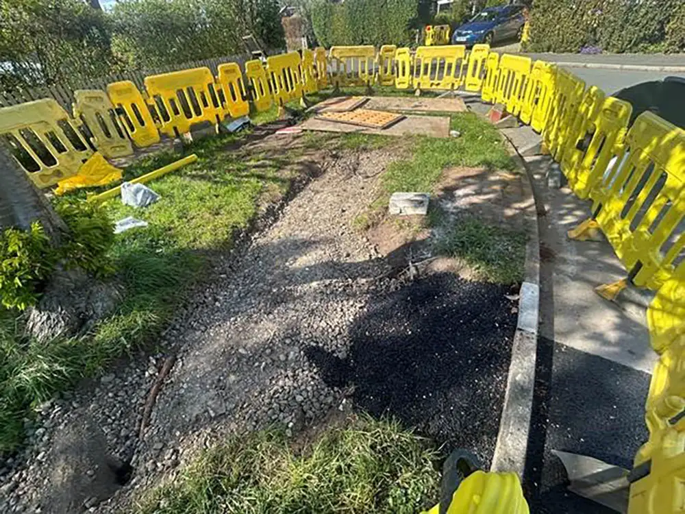 ‘Incredibly frustrating’ – Gas works put York trees at risk