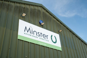 Equine Vets is closing in York