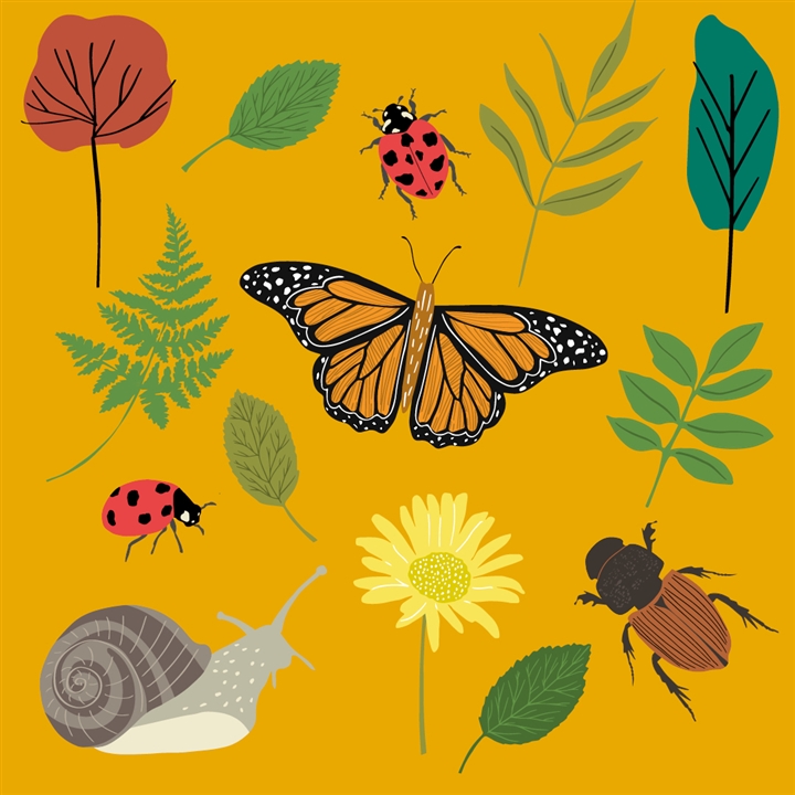 Mini beasts square