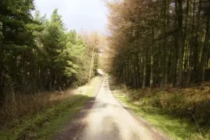 Bath set on fire in North Yorkshire forest