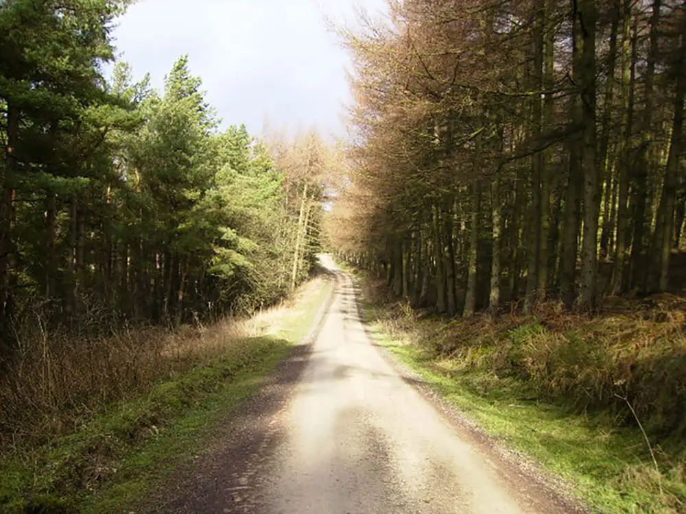 Bath set on fire in North Yorkshire forest