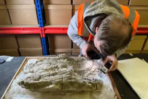 ‘Remarkable discovery’ in York reveals new insights into Roman life and death