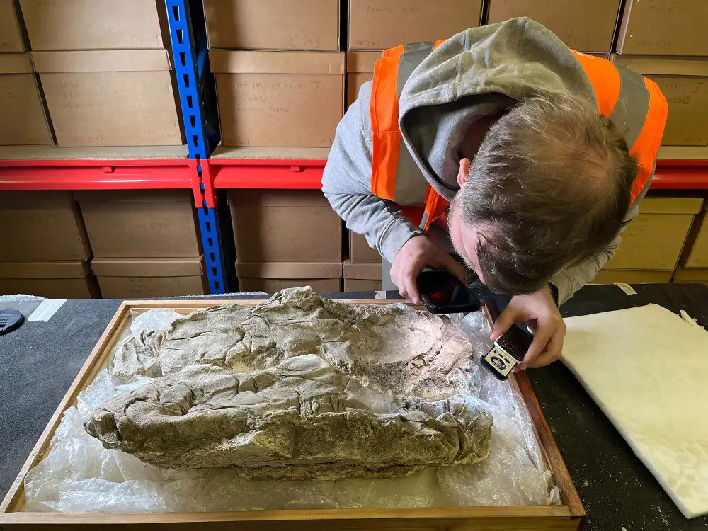 ‘Remarkable discovery’ in York reveals new insights into Roman life and death