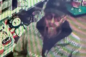 Toys stolen from York shop