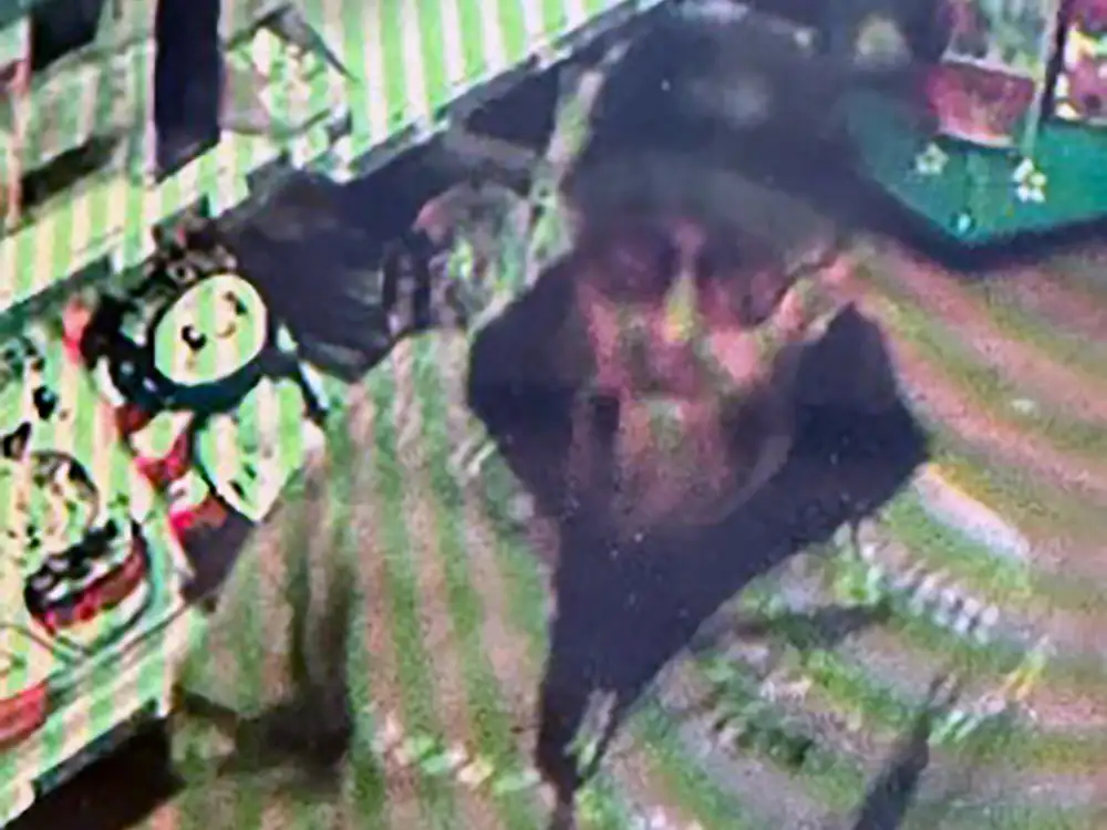 Toys stolen from York shop