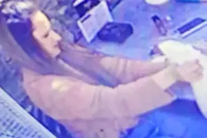 Photo issued after theft from York restaurant