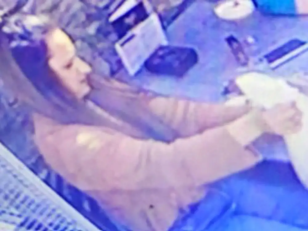 Photo issued after theft from York restaurant