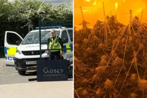 Police raid on North Yorkshire village car wash uncovers cannabis farm