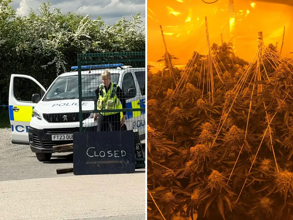 Police raid on North Yorkshire village car wash uncovers cannabis farm