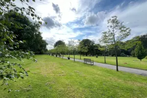 Police called in after fire started in York park