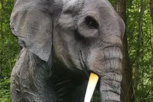 Here’s how you can meet a giant elephant in York
