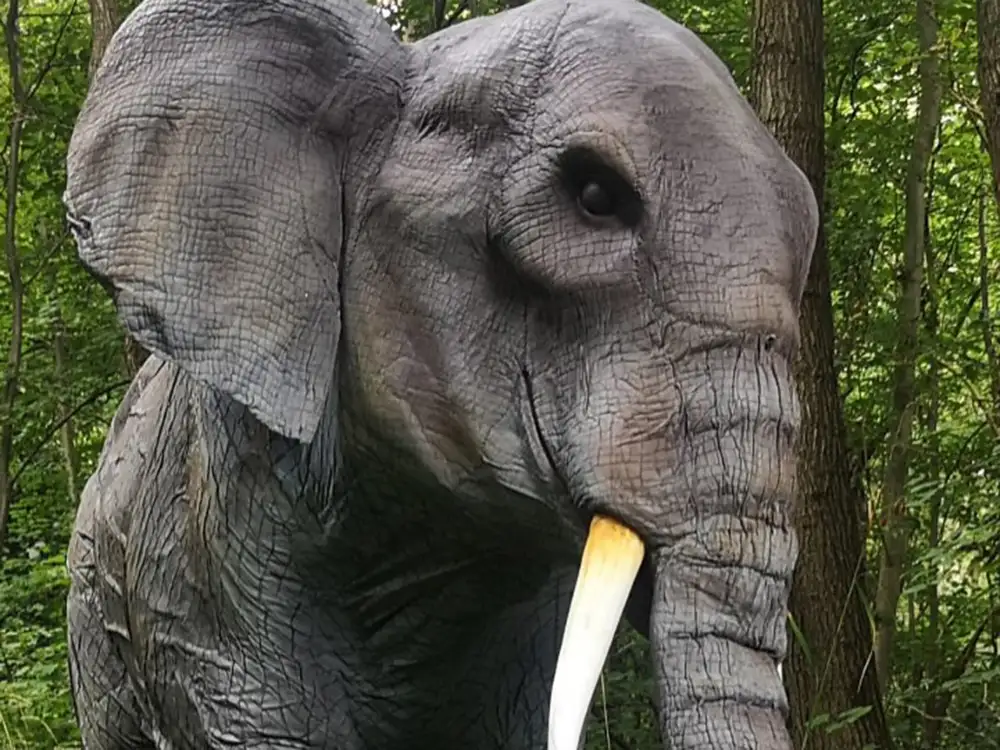 Here’s how you can meet a giant elephant in York