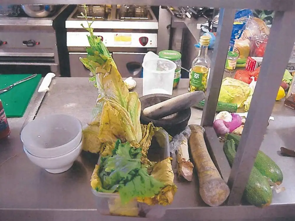 Jailed: North Yorkshire hotel owner with filthy and fly-infested kitchen
