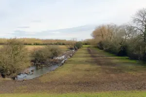 Dog and owner rescued from mud in York