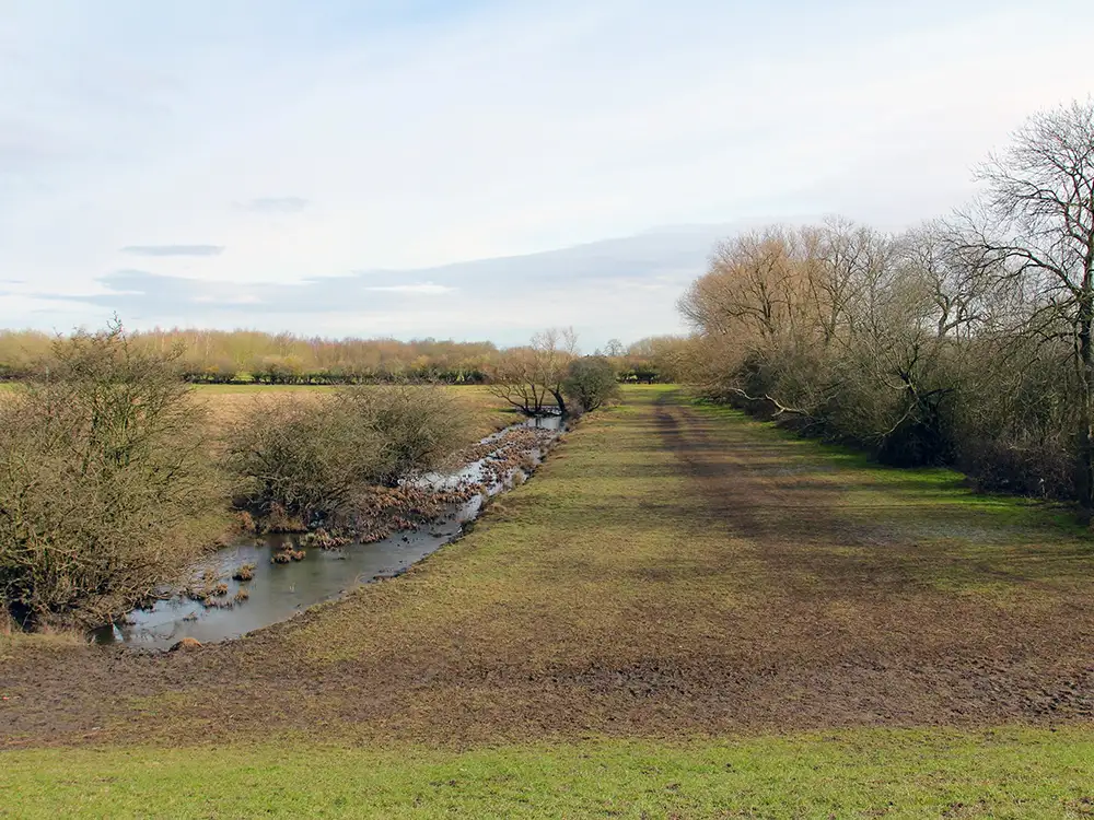 Dog and owner rescued from mud in York