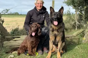 Appeal to help former North Yorkshire Police dogs recover from injuries