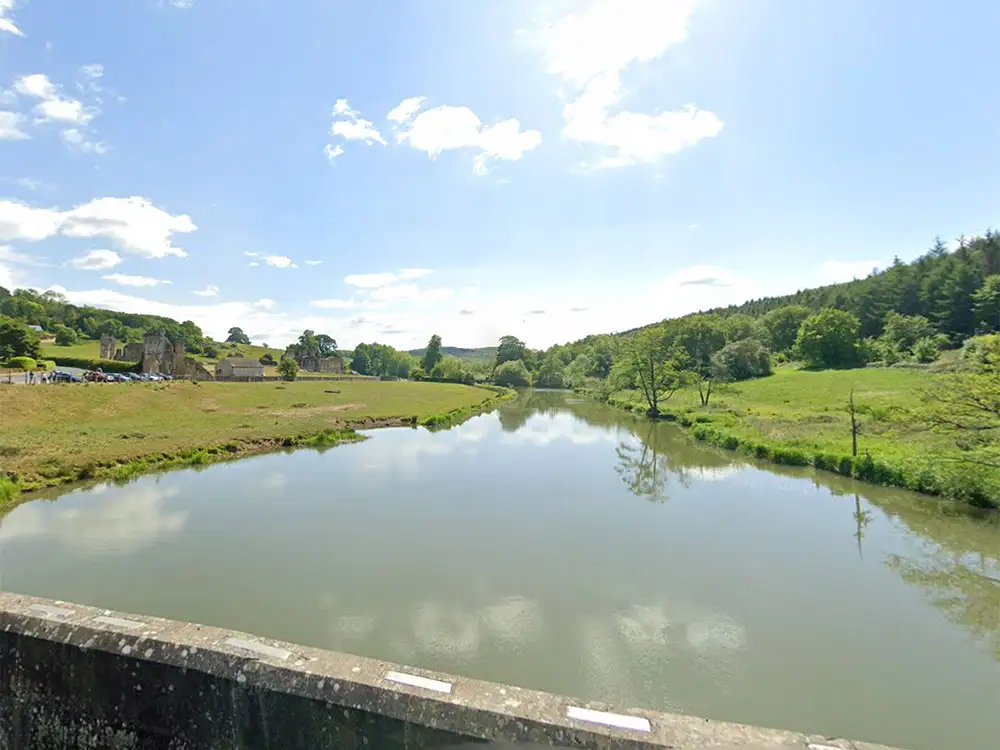 Trapped bull rescued from river near ancient abbey