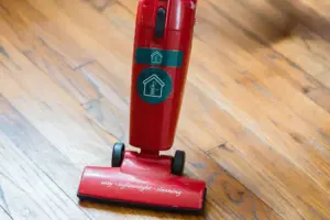 Vacuum cleaner used in attack on Ryedale home