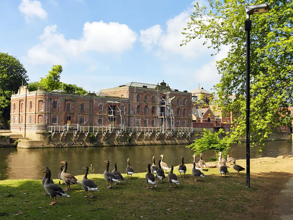 York could hit 33°C today – Heat warning in place