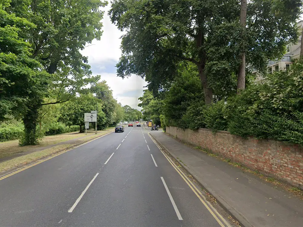 Tree down near York supermarket disrupts traffic