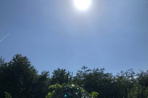 Latest hot weather and travel advice