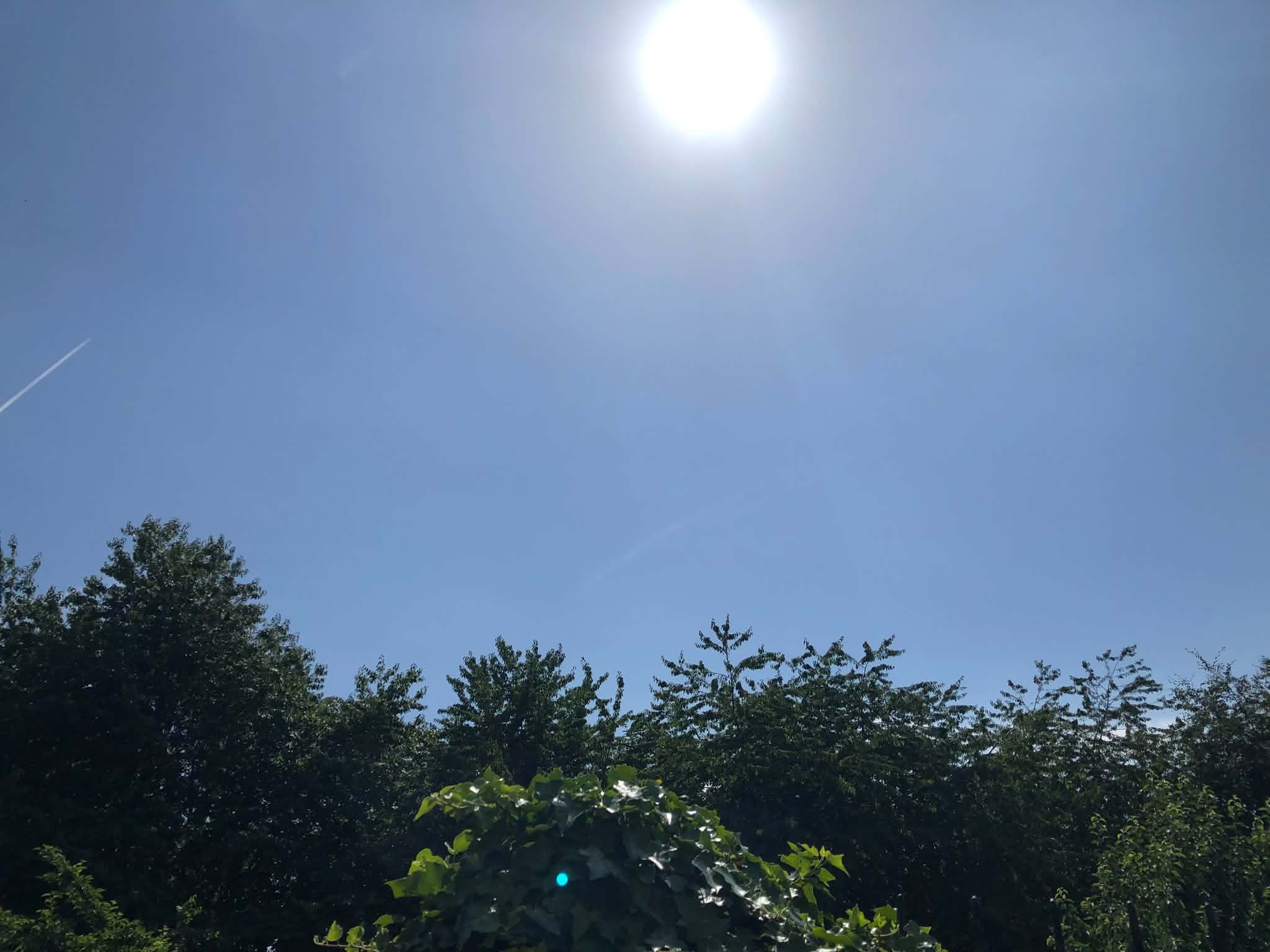 Latest hot weather and travel advice