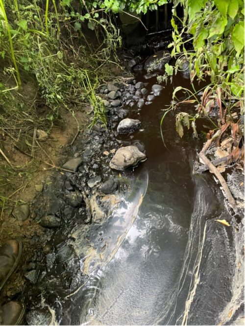 Pollution in river near Knaresborough