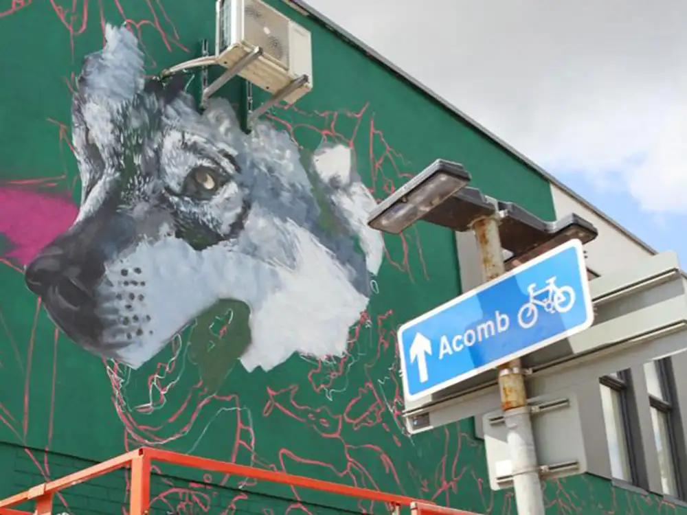 AcombFest 2026: Your complete guide to York’s first street art festival