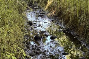 River pollution that affected tap water supplies described as a “small-scale environmental disaster”