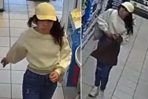 Woman sought after York shop theft