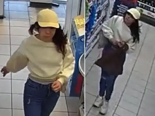 Woman sought after York shop theft