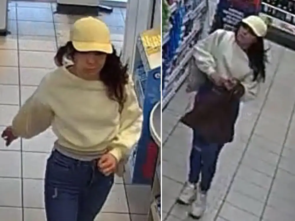Woman sought after York shop theft