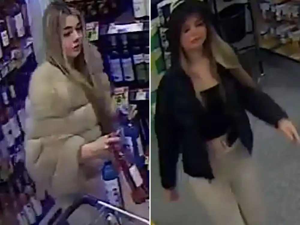 Two thefts on same day in York store