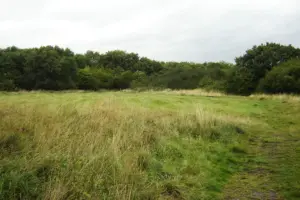 Youths start fire at York nature reserve