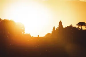 Spending a summer weekend in York as a heatwave hits UK